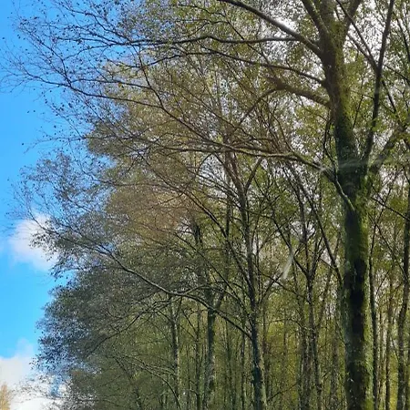 Casa Da Igreja-abadim Cabeceiras de Basto