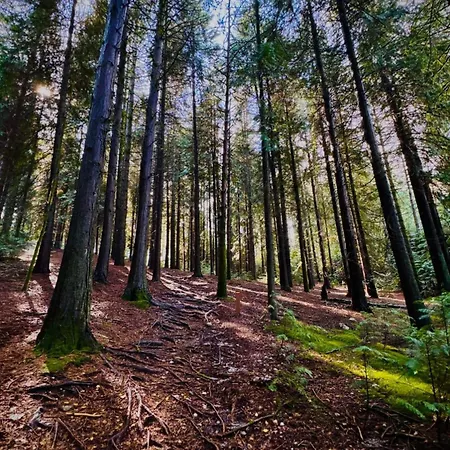 Casa Da Igreja-abadim