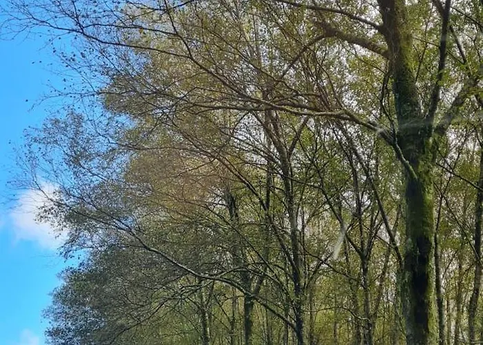 Casa Da Igreja-abadim Cabeceiras de Basto