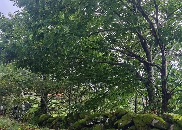 Casa Da Igreja-abadim Ferienhaus Cabeceiras de Basto