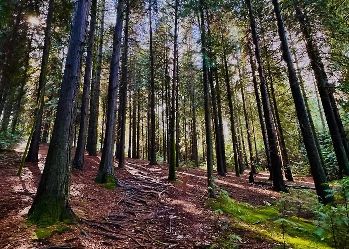 Casa Da Igreja-abadim