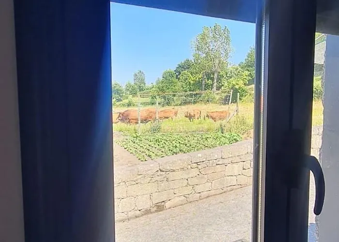 Casa Da Igreja-abadim Cabeceiras de Basto